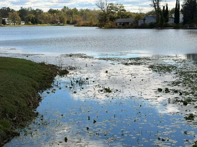 $9,800 | Lot 302 Hilcrest/helen Drive, Silverwood, MI 48760