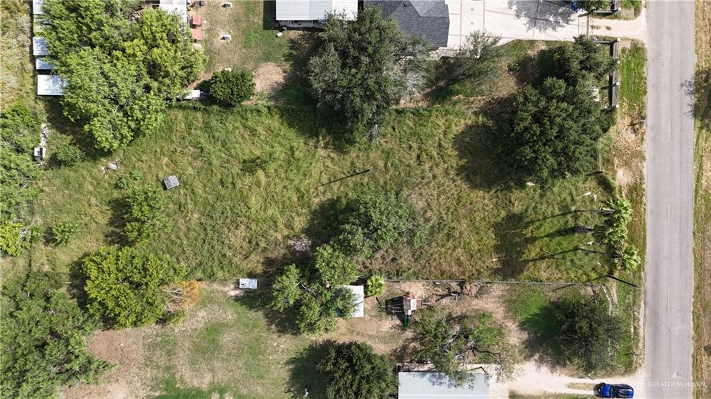 5802 North Terry Road Edinburg, TX 78542 - Photo 2 of 14 Aerial view
