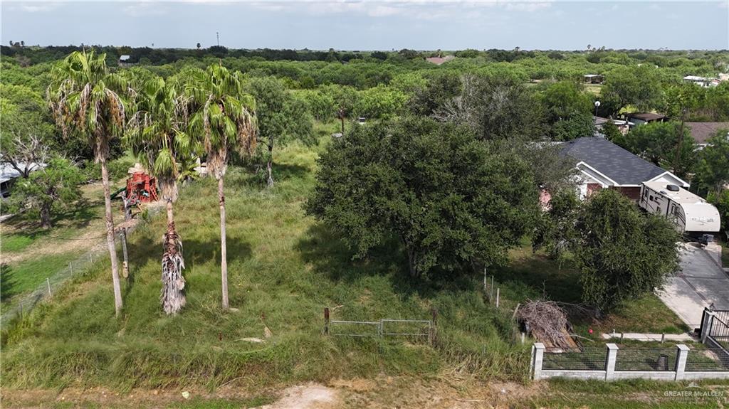 5802 North Terry Road Edinburg, TX 78542 - Photo 3 of 14 Bird's eye view