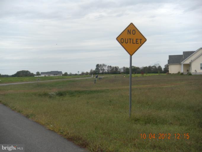Shane Circle Road Ridgely, MD 21660 - Photo 5 of 5 Community