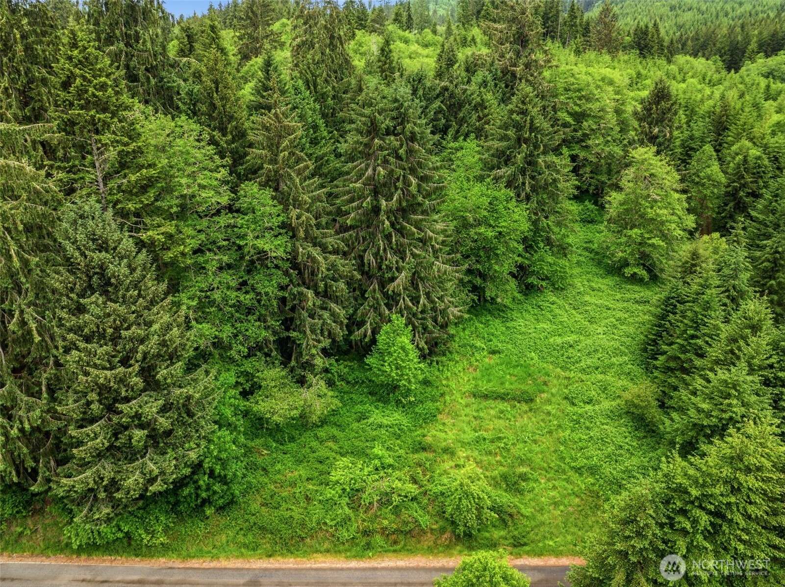 0 East Valley Road Skamokawa, WA 98647 - Photo 9 of 15