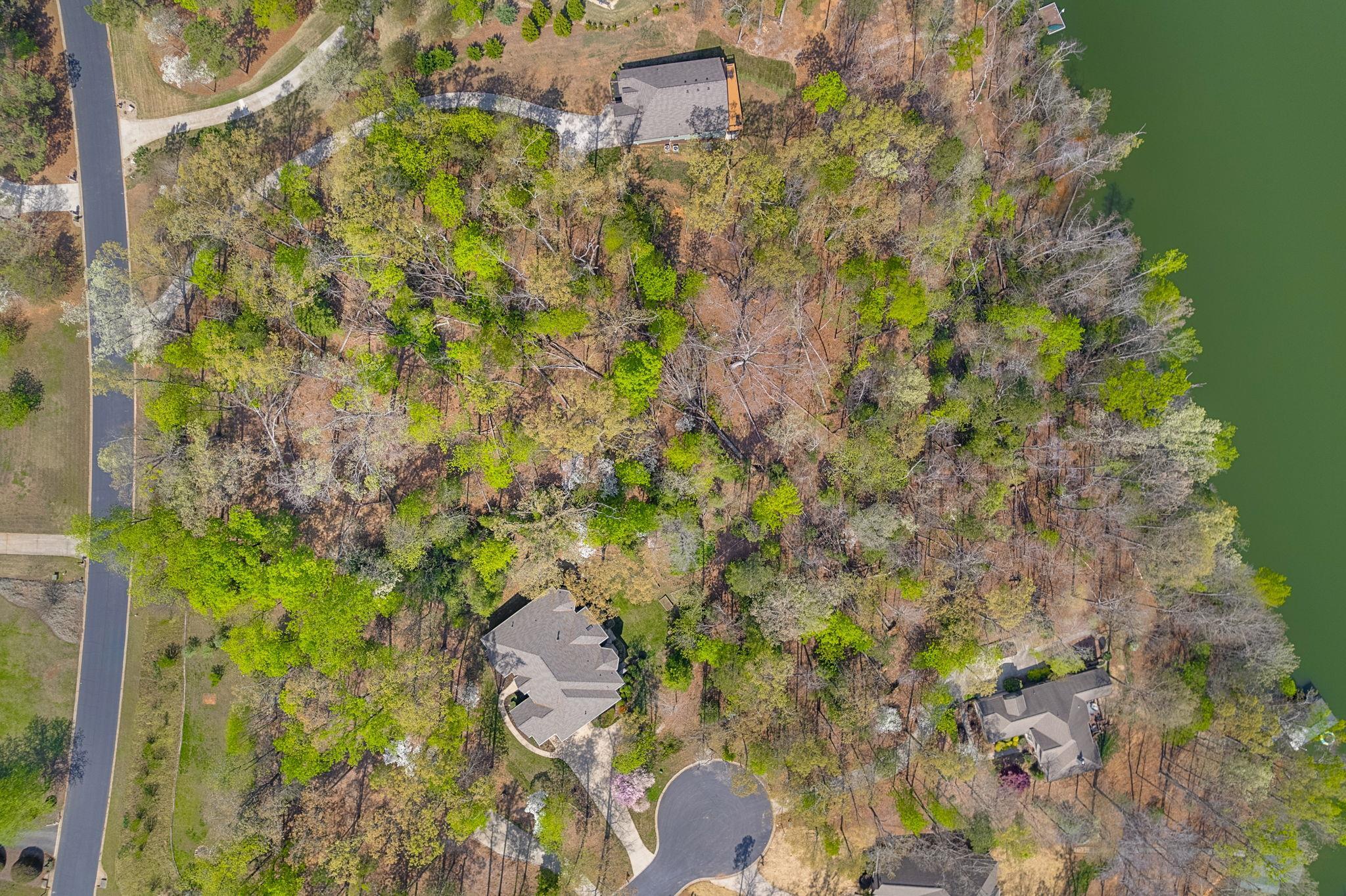 356 State Rd S-42-4394 Chesnee, SC 29323 - Photo 4 of 15