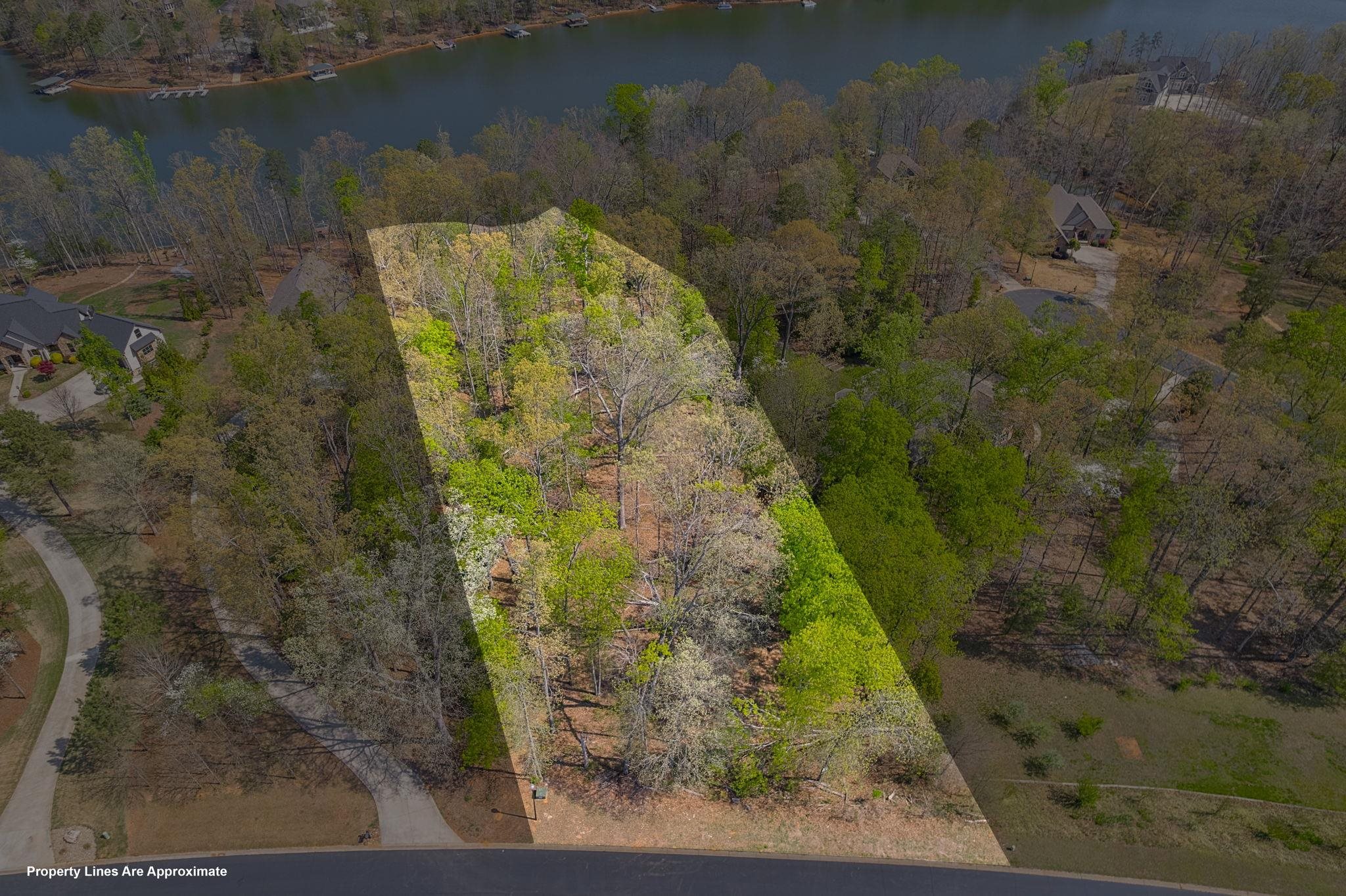 356 State Rd S-42-4394 Chesnee, SC 29323 - Photo 5 of 15