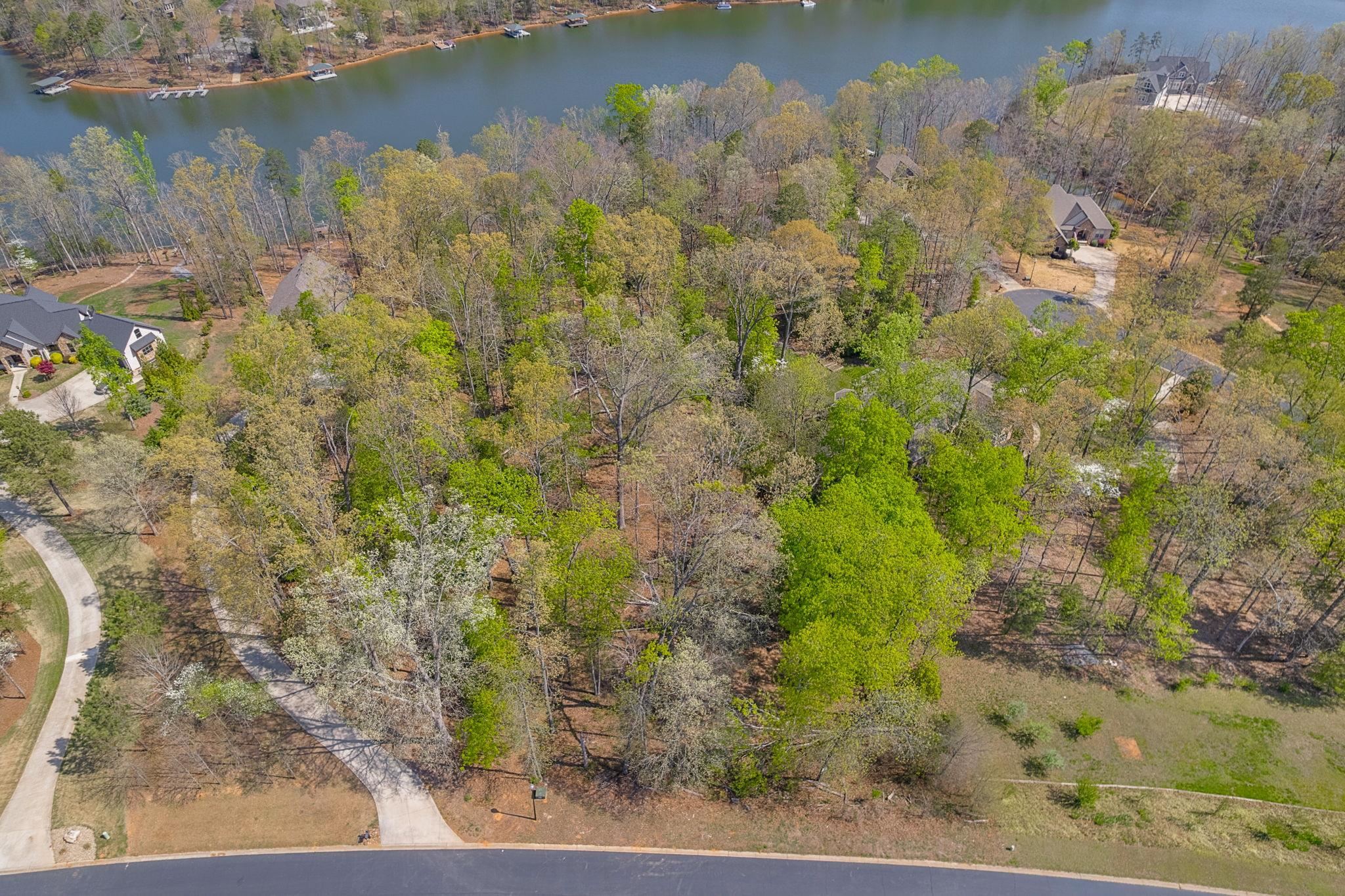 356 State Rd S-42-4394 Chesnee, SC 29323 - Photo 6 of 15