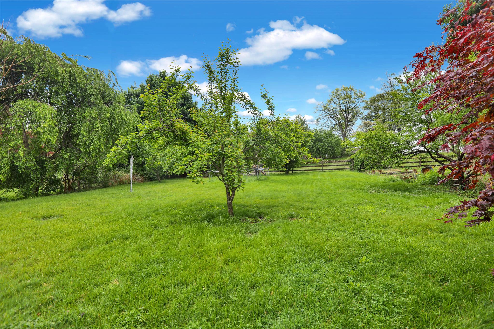 90 Fricks Lock Road Pottstown, PA 19465 - Photo 4 of 28 Back Yard