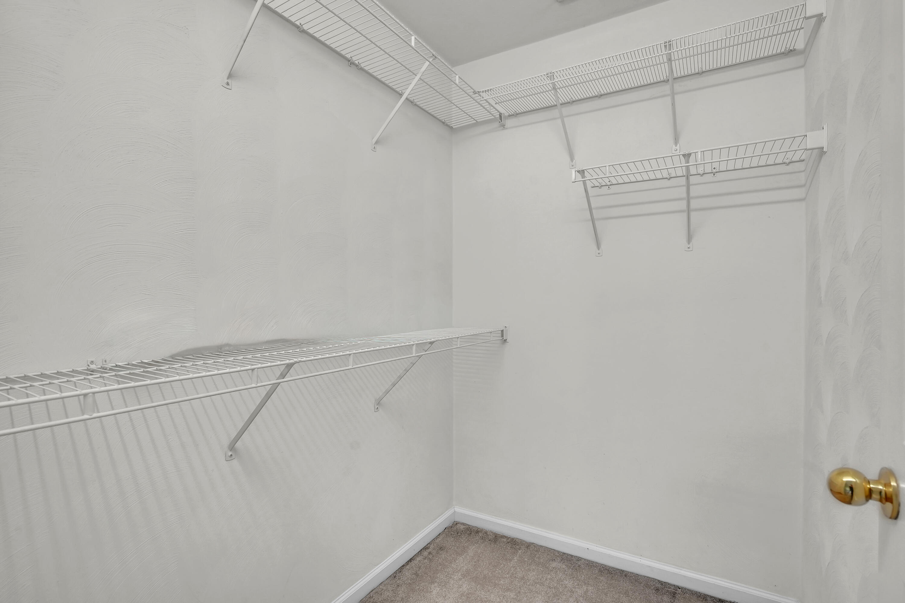 7607 Peebles Lane Roanoke, VA 24018 - Photo 34 of 57 a view of a room with racks on the wall