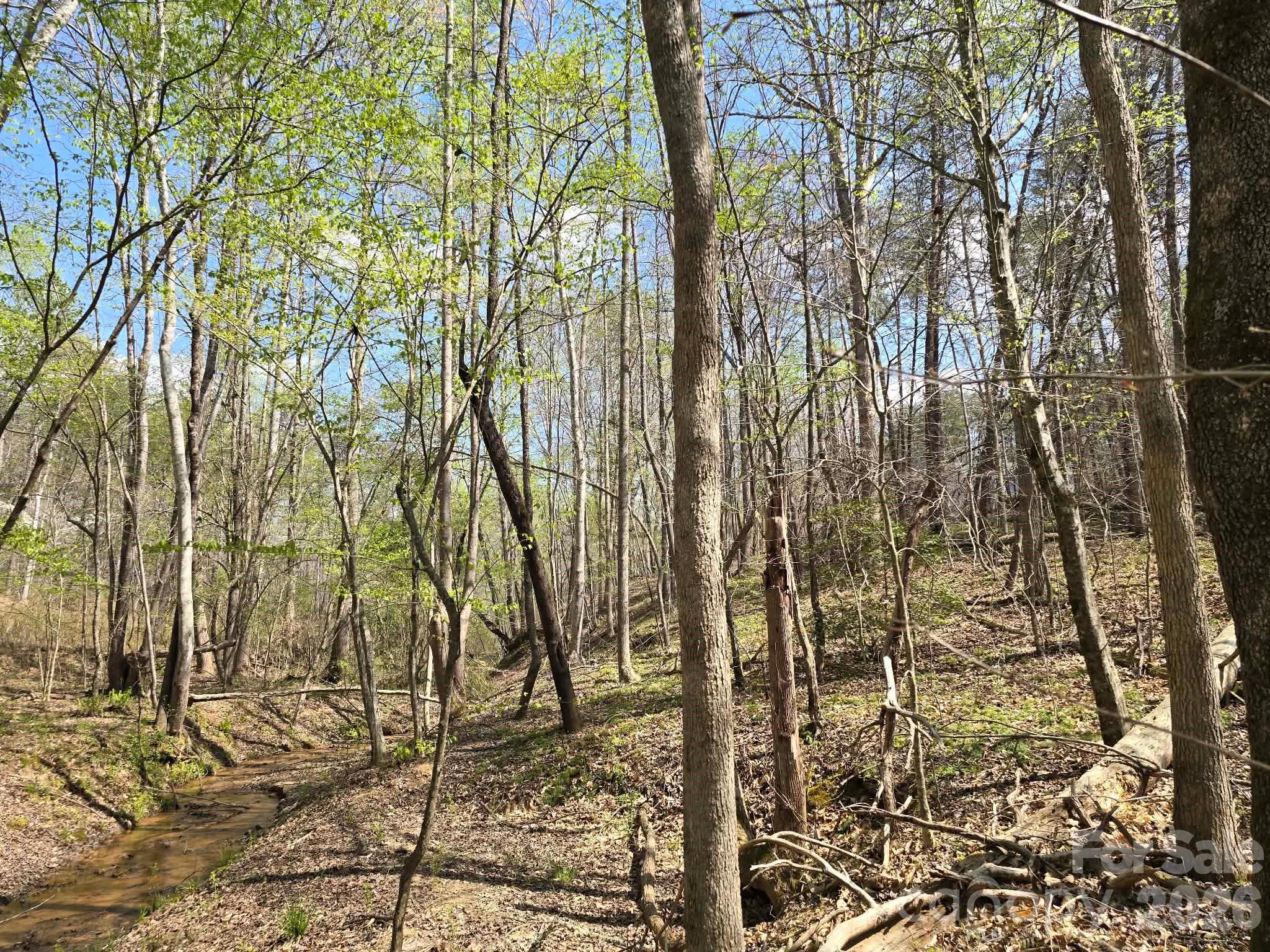 Lot 26 Grandview Drive, Unit 26 Rutherfordton, NC 28139 - Photo 13 of 13 a backyard of a house with lots of green space