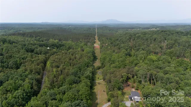 a view of a city with lush green forest