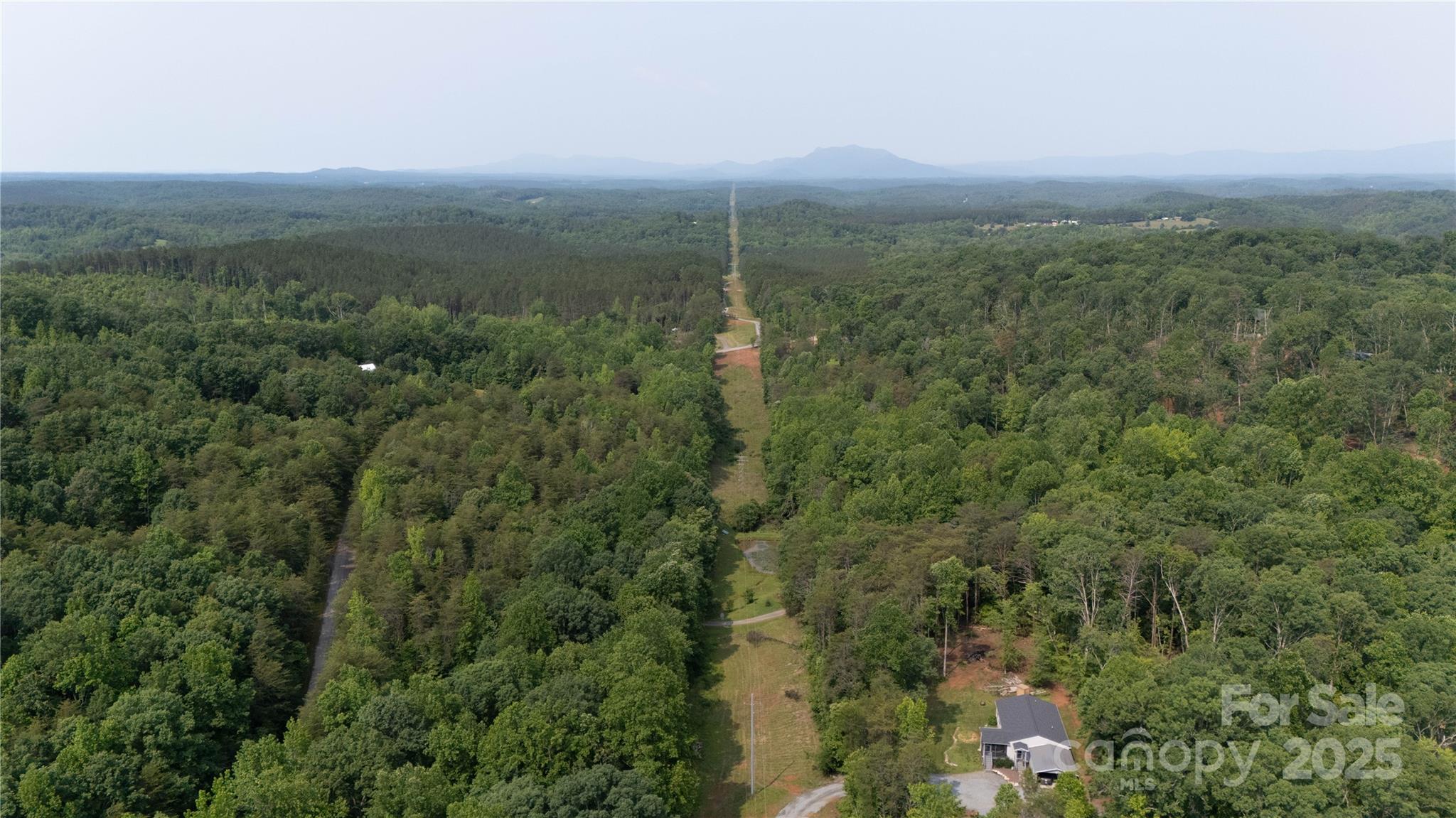 Lot 26 Grandview Drive, Unit 26 Rutherfordton, NC 28139 - Photo 14 of 19 a view of a city with lush green forest