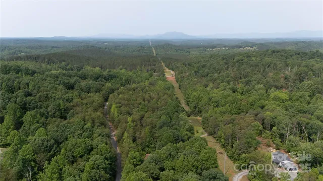 a view of a city with lush green forest