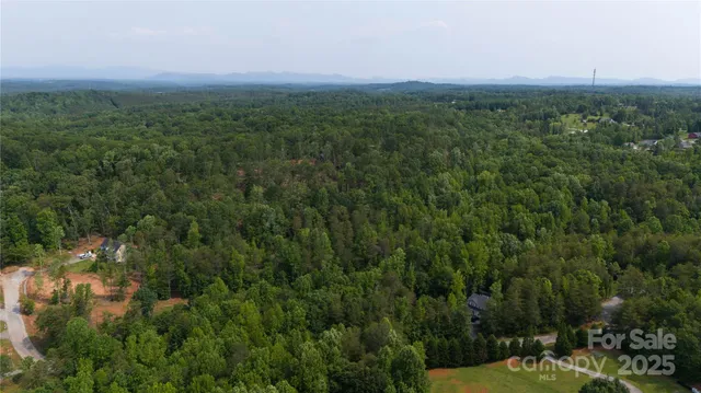 a view of a green field with lots of bushes