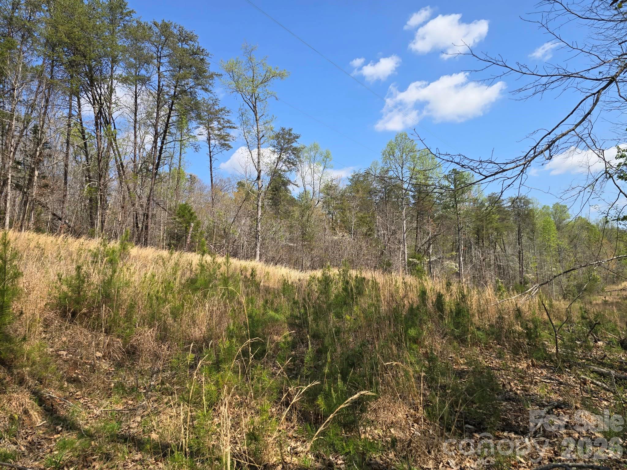 Lot 26 Grandview Drive, Unit 26 Rutherfordton, NC 28139 - Photo 3 of 13 a view of a yard