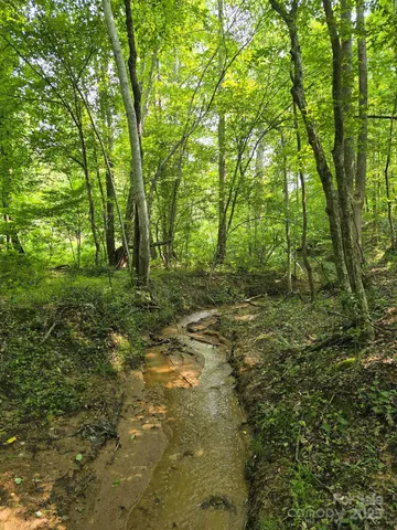 a big yard with lots of green space and trees