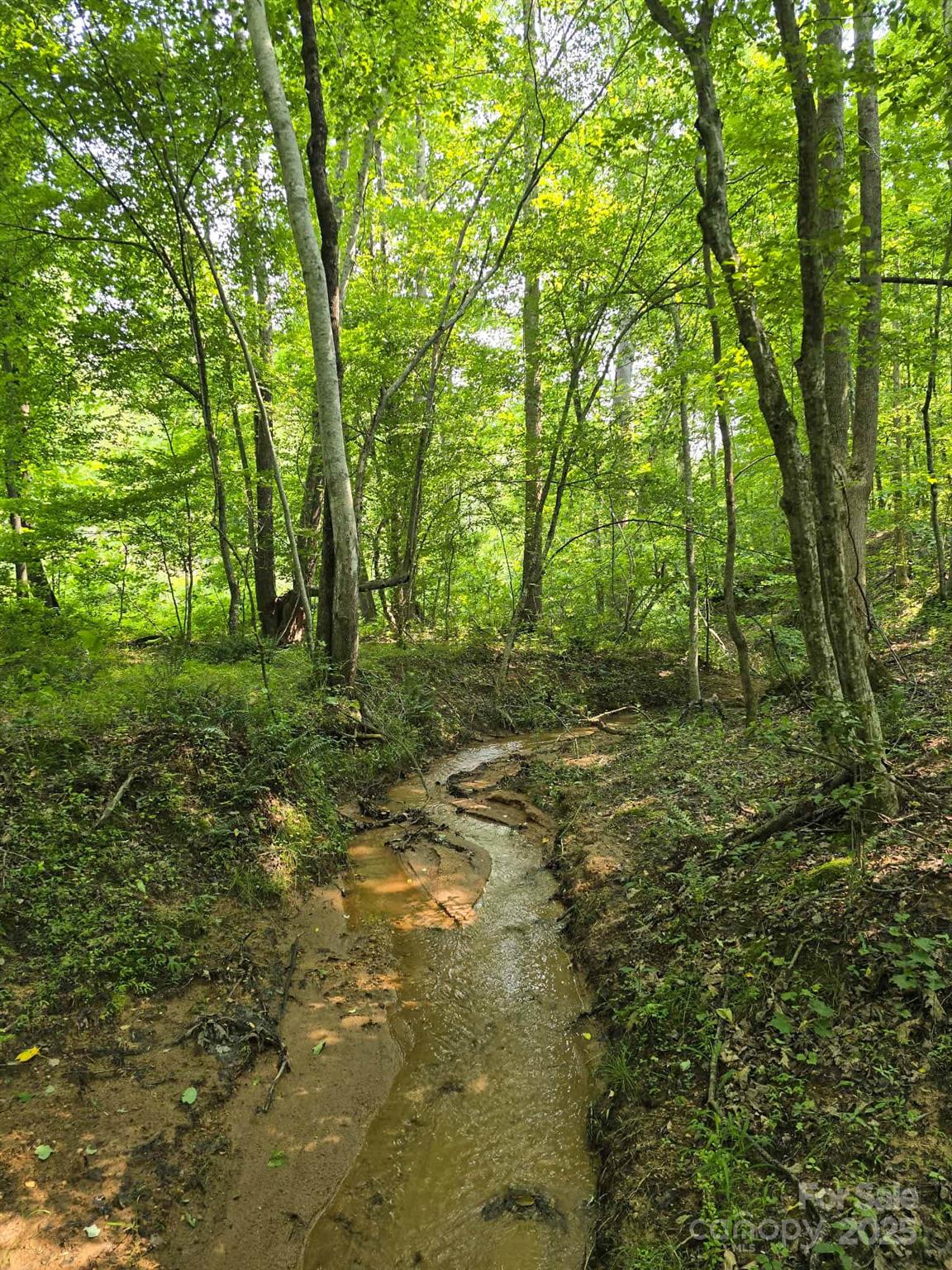 Lot 26 Grandview Drive, Unit 26 Rutherfordton, NC 28139 - Photo 5 of 19 a big yard with lots of green space and trees