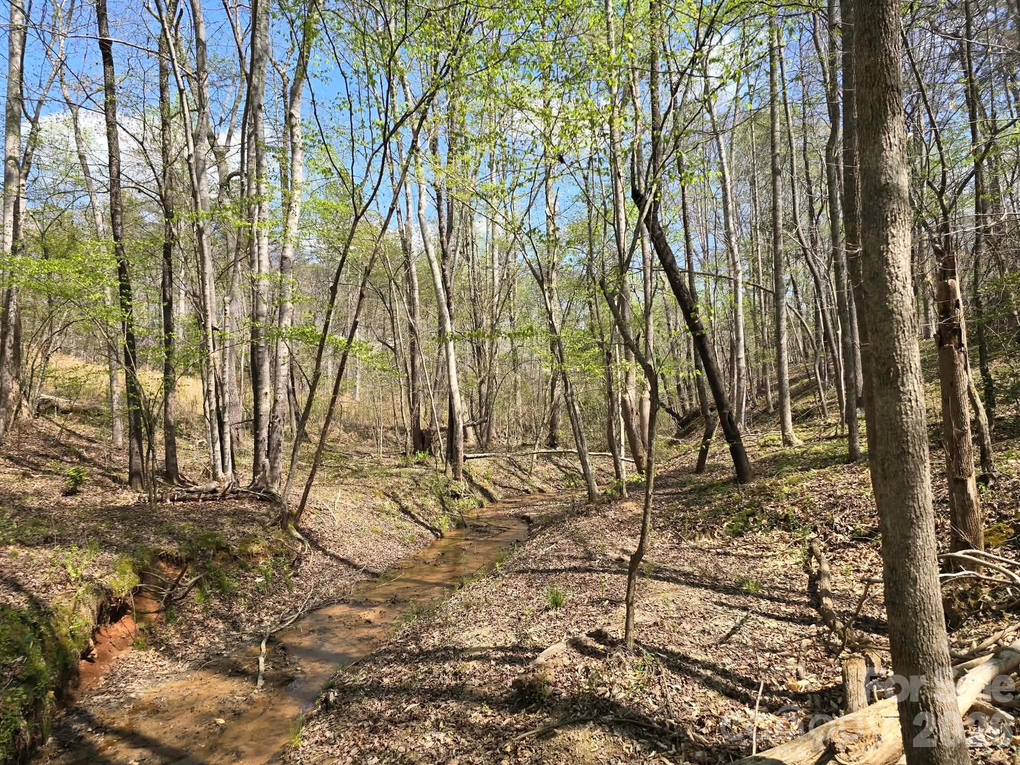Lot 26 Grandview Drive, Unit 26 Rutherfordton, NC 28139 - Photo 6 of 13 a view of yard