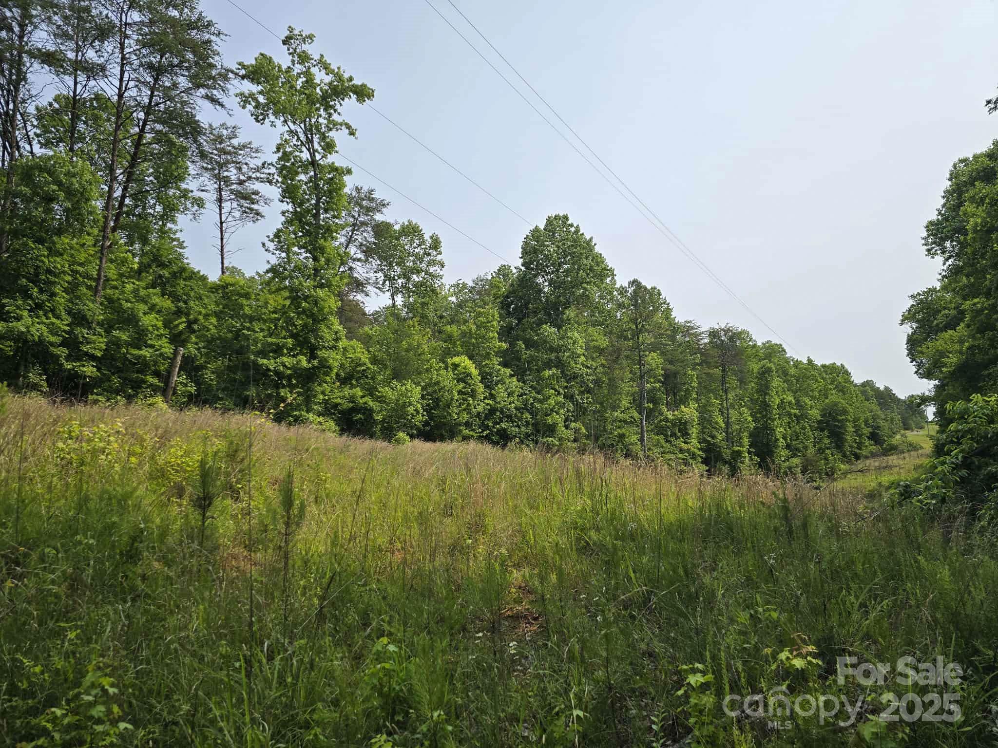 Lot 26 Grandview Drive, Unit 26 Rutherfordton, NC 28139 - Photo 6 of 19 a view of a lake with a yard