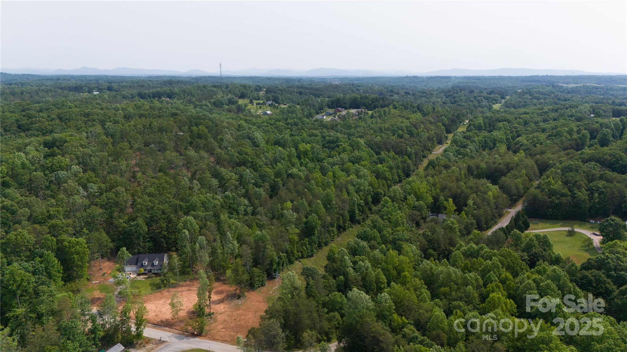 Lot 26 Grandview Drive, Unit 26 Rutherfordton, NC 28139 - Photo 9 of 19 a view of a lush green forest with trees and some houses