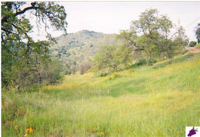 0 Lot Road Squaw Valley, CA 93675 - Photo 1 of 10 Gallery Image 1