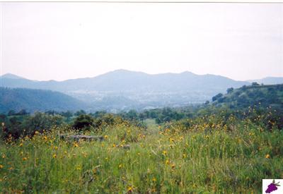 0 Lot Road Squaw Valley, CA 93675 - Photo 4 of 10 Gallery Image 4