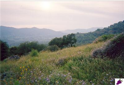 0 Lot Road Squaw Valley, CA 93675 - Photo 7 of 10 Gallery Image 7