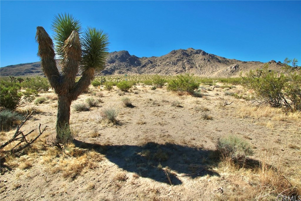 3900 Wesley Road Joshua Tree, CA 92252 - Photo 1 of 1