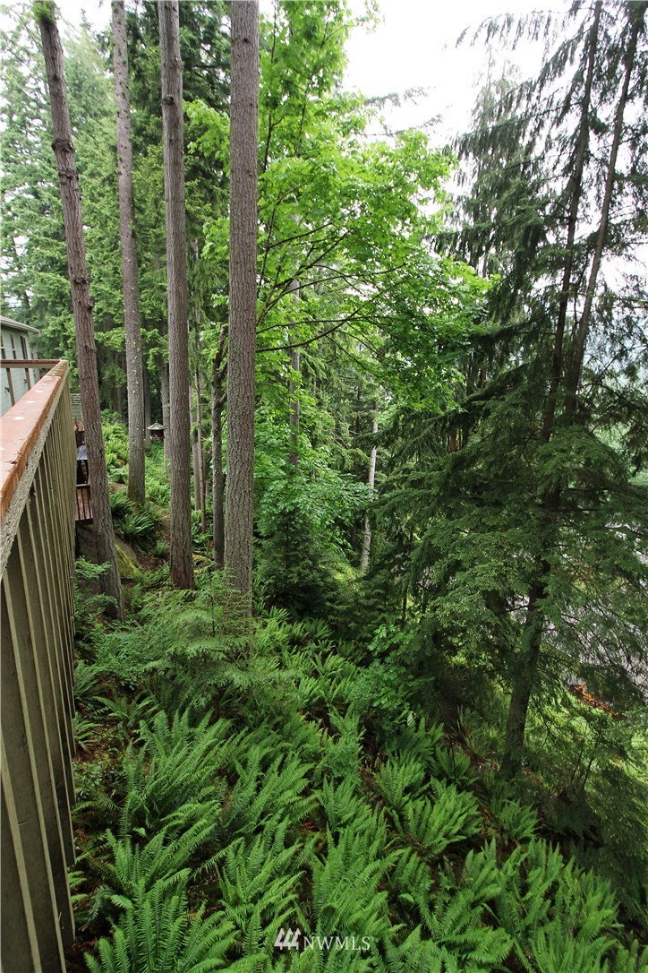 11 Jasper Ridge Lane Bellingham, WA 98229 - Photo 23 of 23 Gallery Image 23