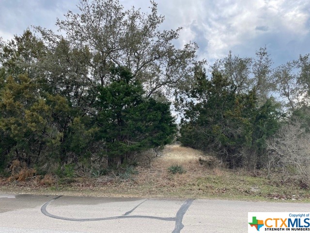 5210 Denmans Loop Belton, TX 76513 - Photo 1 of 1 a view of a yard with large trees