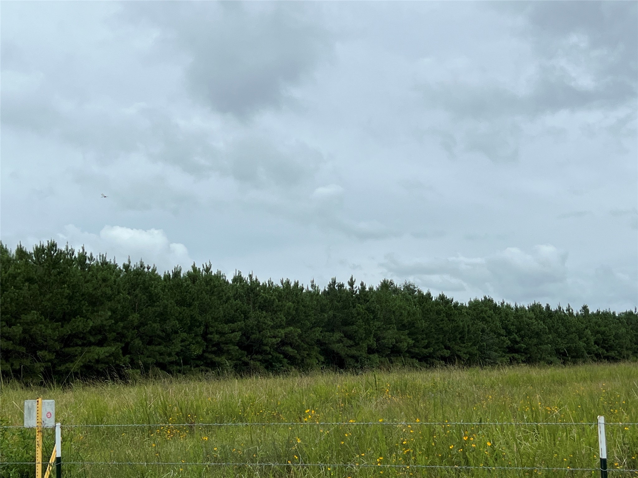 4 County Road 2204 Cleveland, TX 77327 - Photo 2 of 7