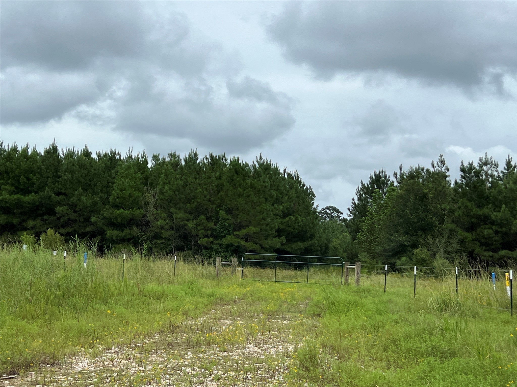 4 County Road 2204 Cleveland, TX 77327 - Photo 3 of 7