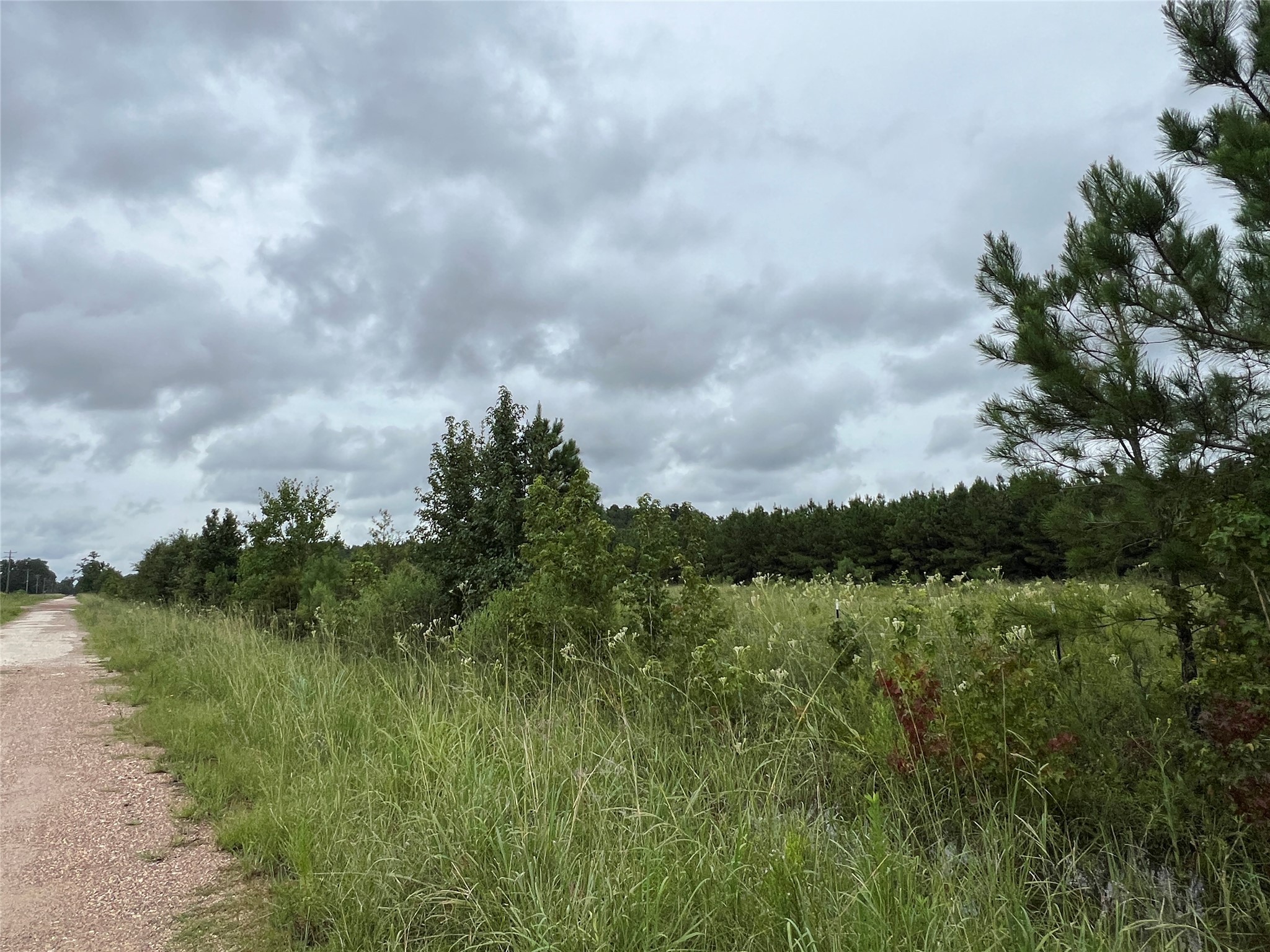 4 County Road 2204 Cleveland, TX 77327 - Photo 4 of 7