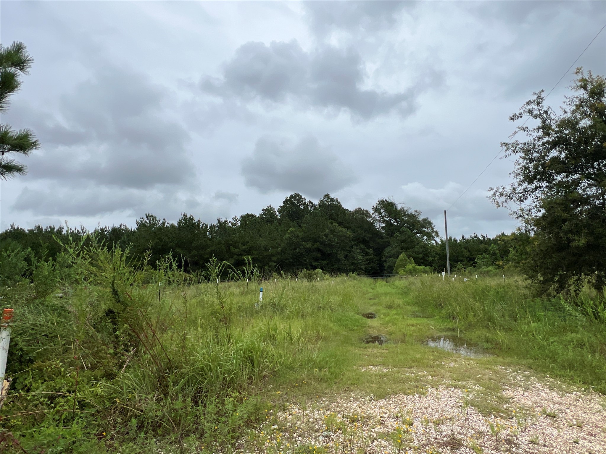 4 County Road 2204 Cleveland, TX 77327 - Photo 5 of 7