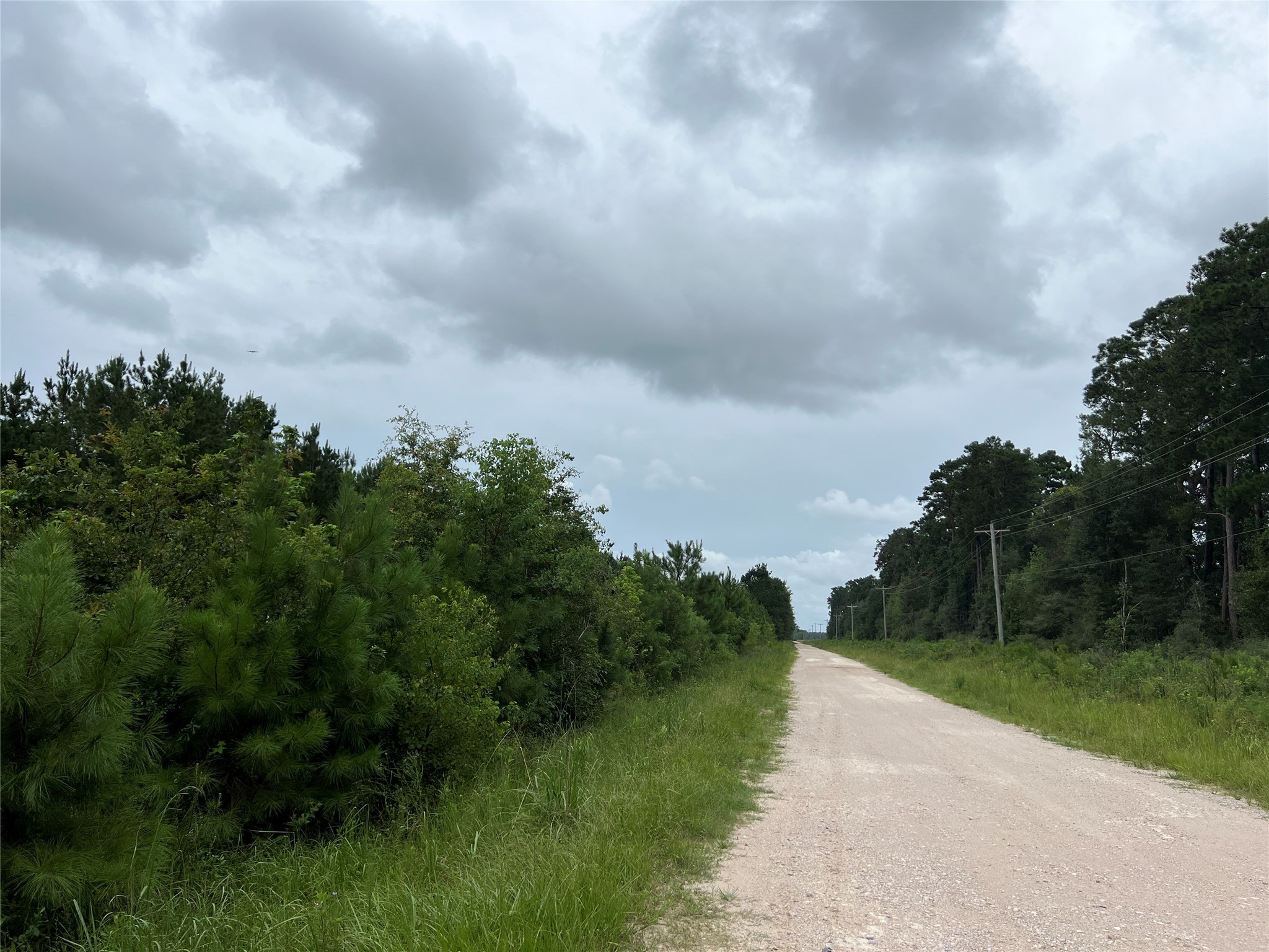 4 County Road 2204 Cleveland, TX 77327 - Photo 7 of 7