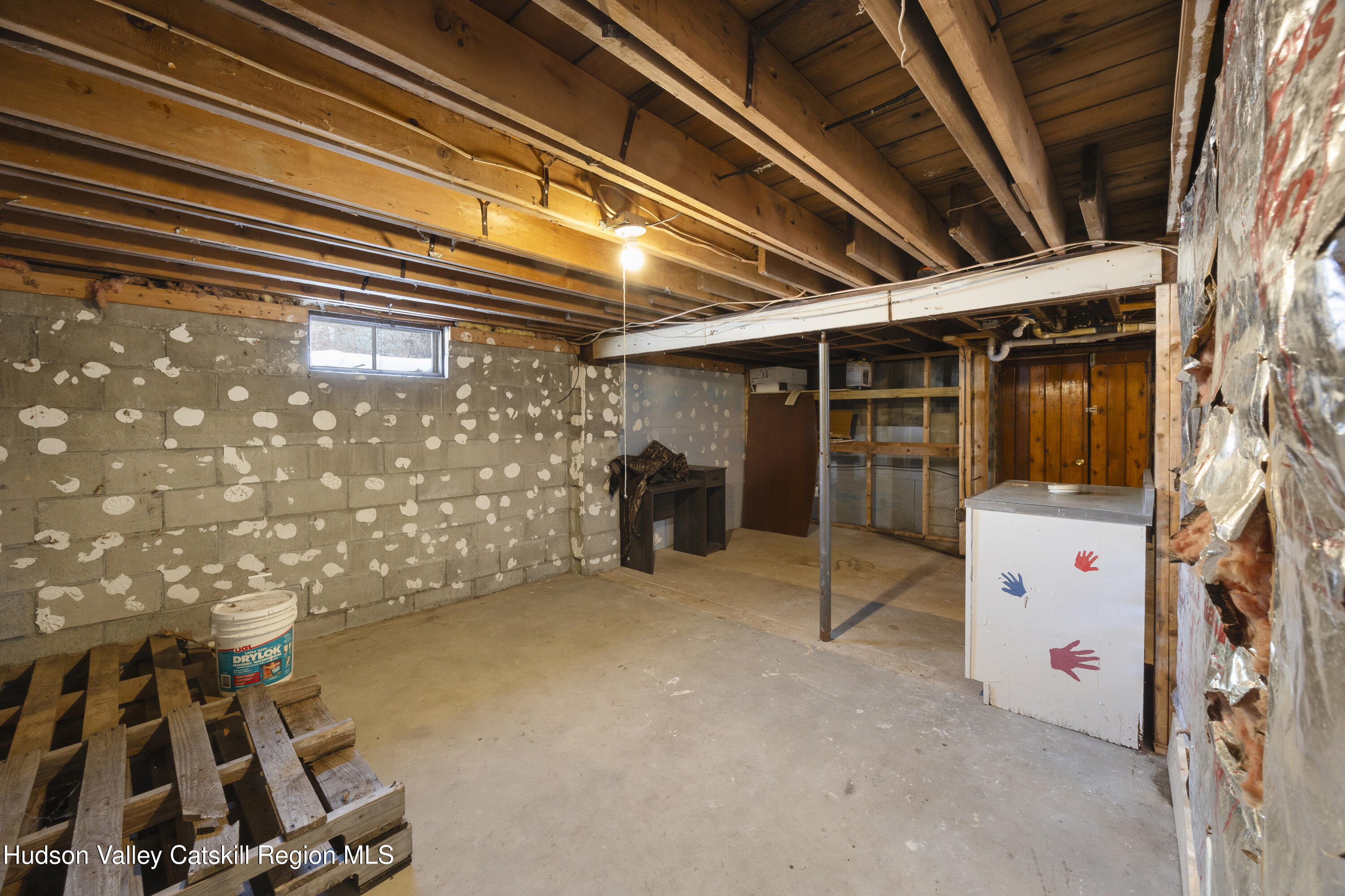 116 Lincoln Road Copake, NY 12516 - Photo 19 of 19 basement 2