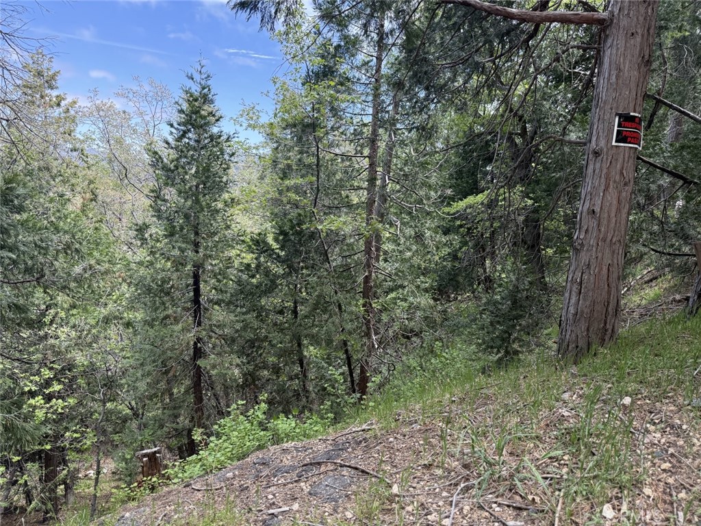 0 Alpine Court Crestline, CA 92325 - Photo 2 of 14 a view of a forest with trees in the background
