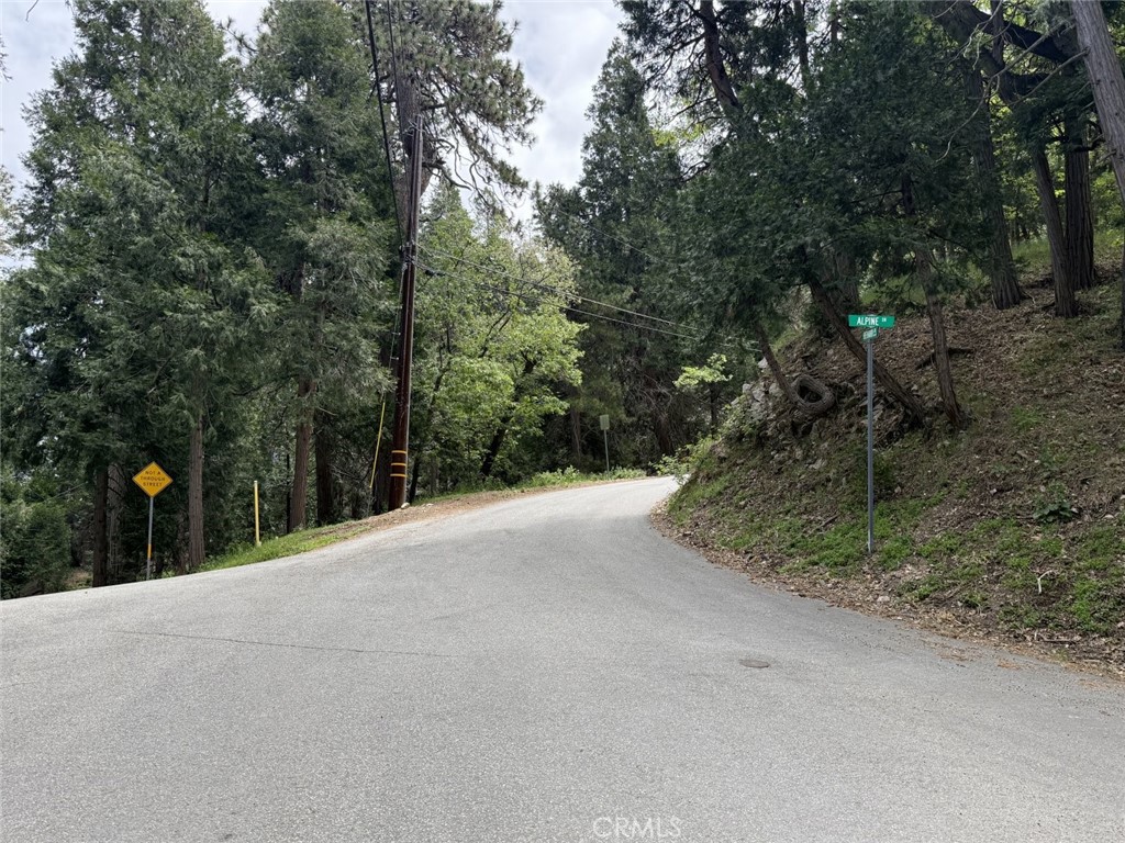 0 Alpine Court Crestline, CA 92325 - Photo 3 of 14 a view of a road with a trees