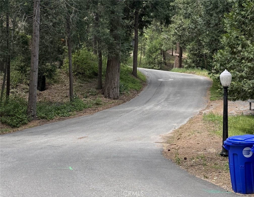 0 Alpine Court Crestline, CA 92325 - Photo 4 of 14 a street view with tall trees