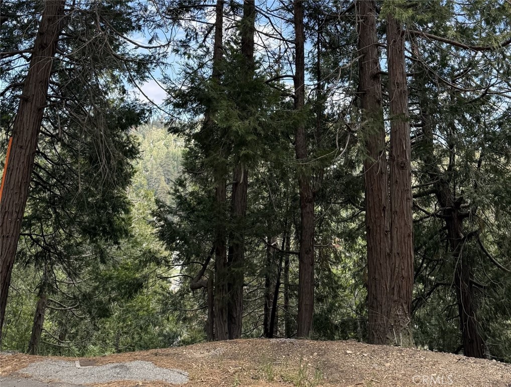 0 Alpine Court Crestline, CA 92325 - Photo 5 of 14