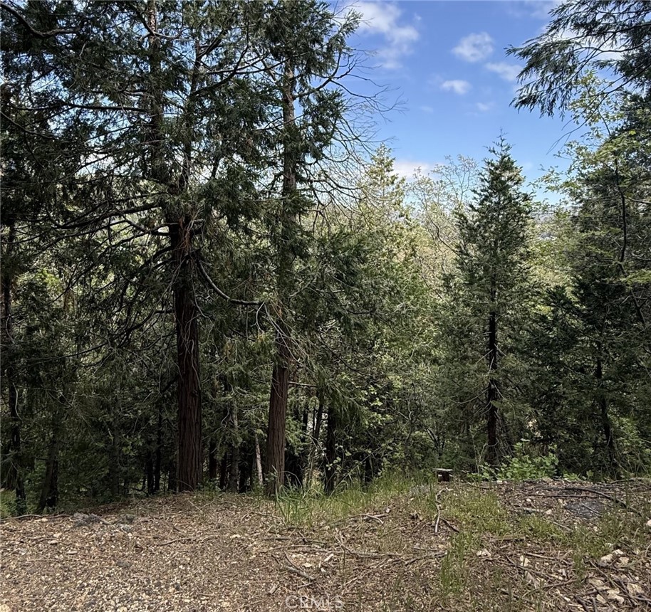 0 Alpine Court Crestline, CA 92325 - Photo 6 of 14 a view of outdoor space and trees