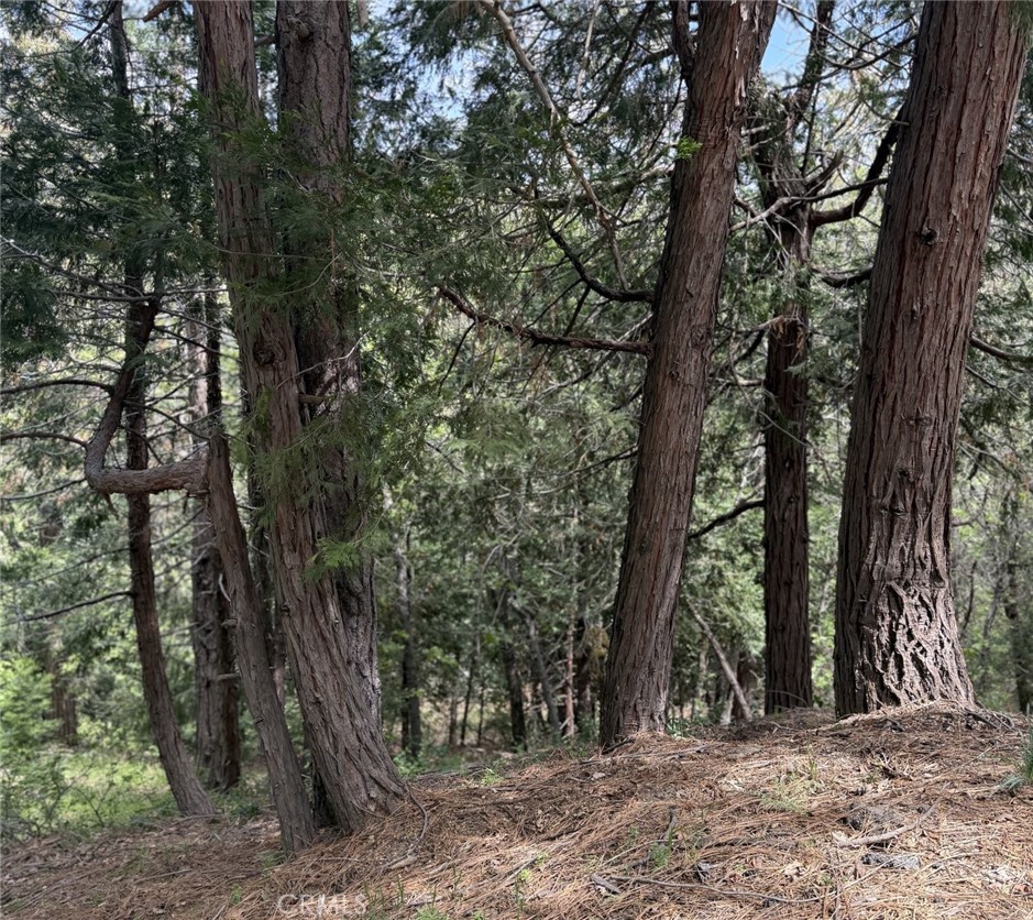 0 Alpine Court Crestline, CA 92325 - Photo 10 of 14 a view of outdoor space and tree
