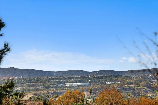 a view of a swimming pool with a yard