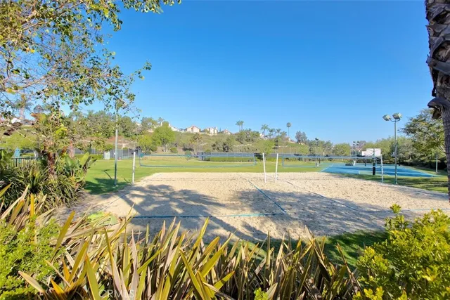 a view of a park with large trees