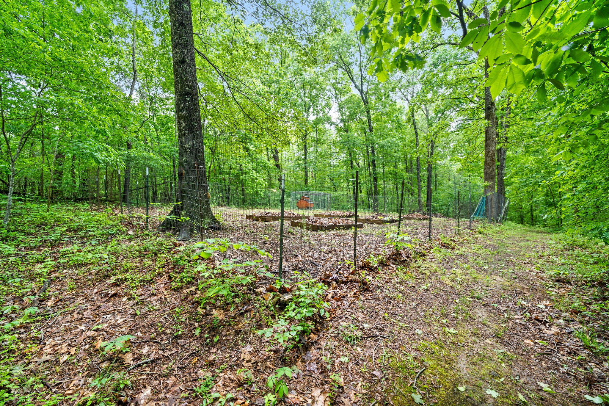 450 Belmont Road Clarksville, TN 37040 - Photo 43 of 55 Gallery Image 43