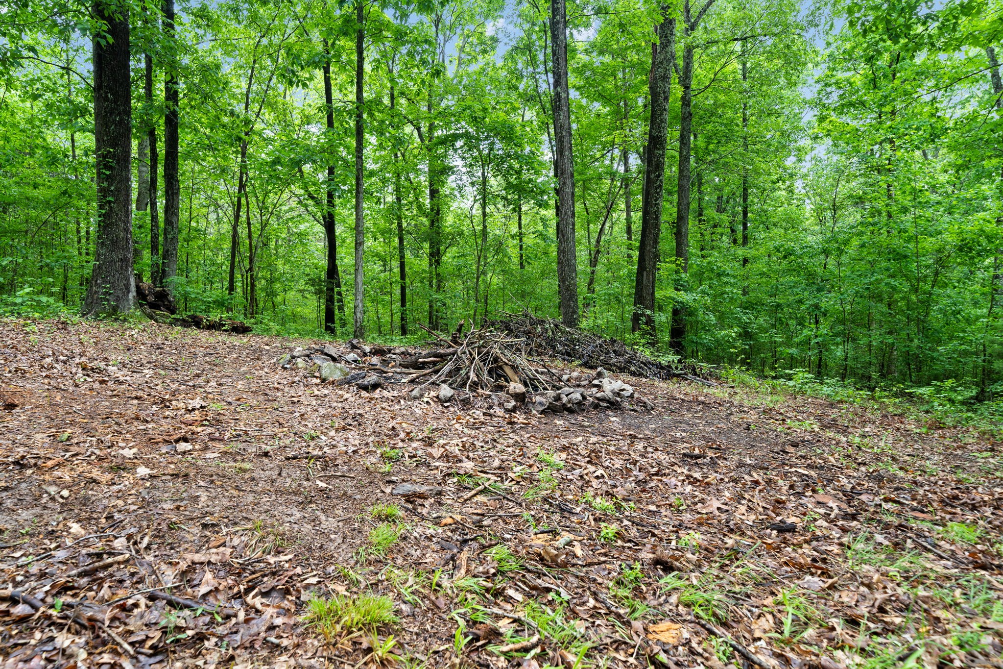 450 Belmont Road Clarksville, TN 37040 - Photo 45 of 55 Gallery Image 45