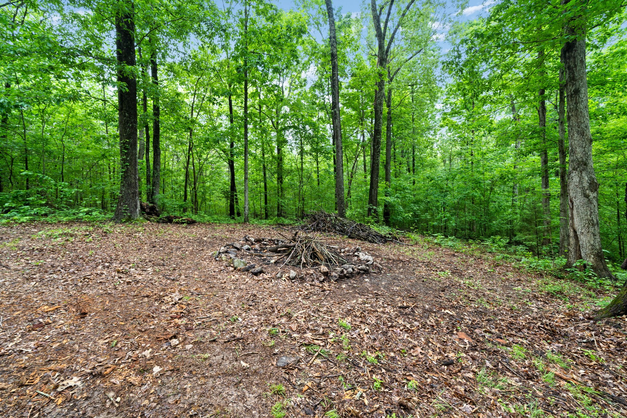 450 Belmont Road Clarksville, TN 37040 - Photo 46 of 55 Gallery Image 46