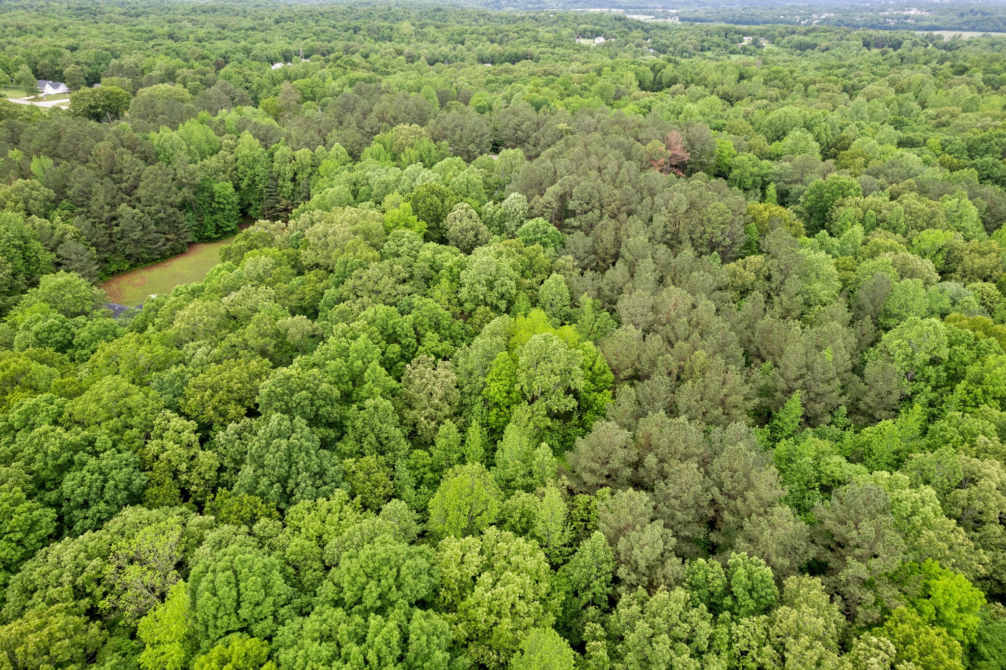 450 Belmont Road Clarksville, TN 37040 - Photo 50 of 55 Gallery Image 50