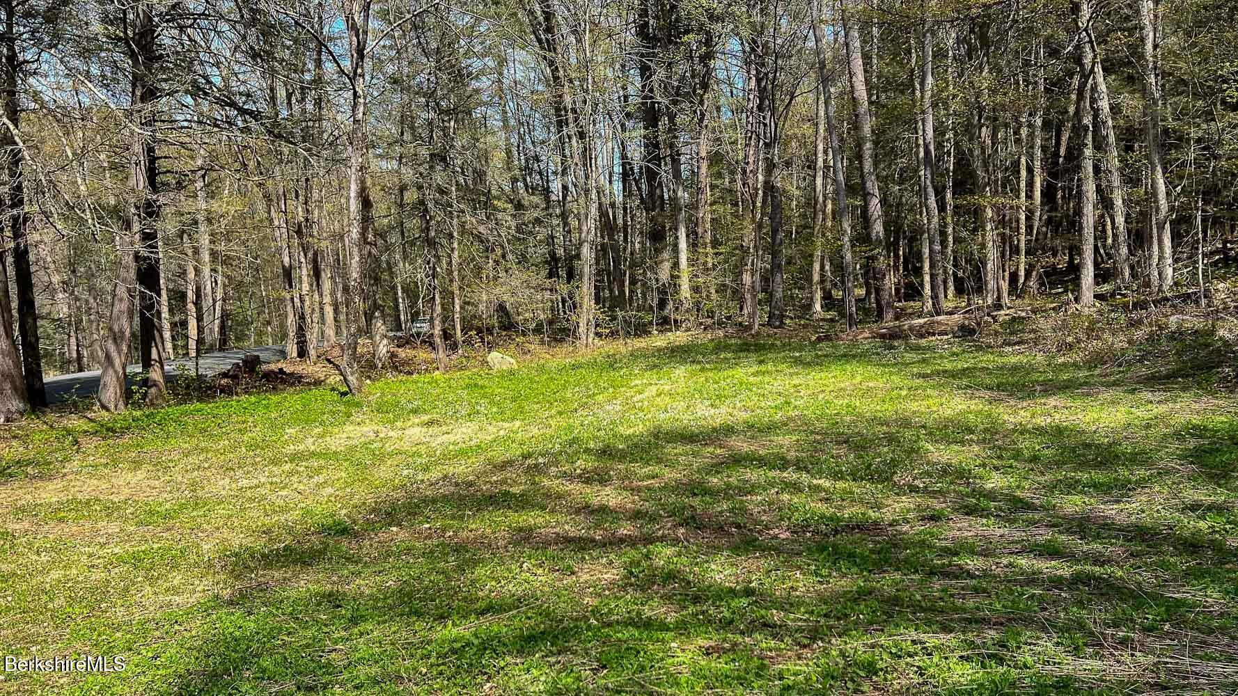 0 River Road Monterey, MA 01245 - Photo 9 of 14 0 River Rd-9
