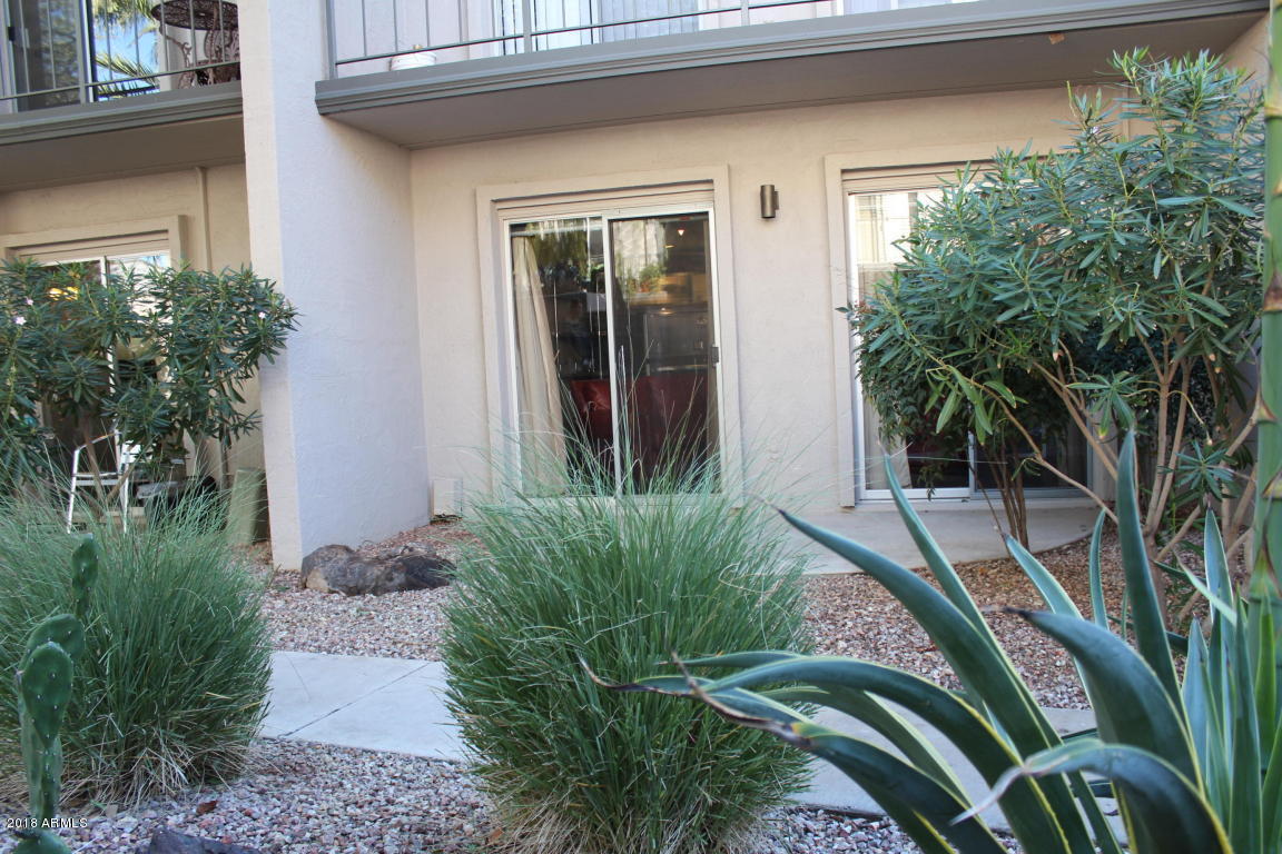 1010 East Osborn Road, Unit B Phoenix, AZ 85014 - Photo 7 of 10 COZY PATIO