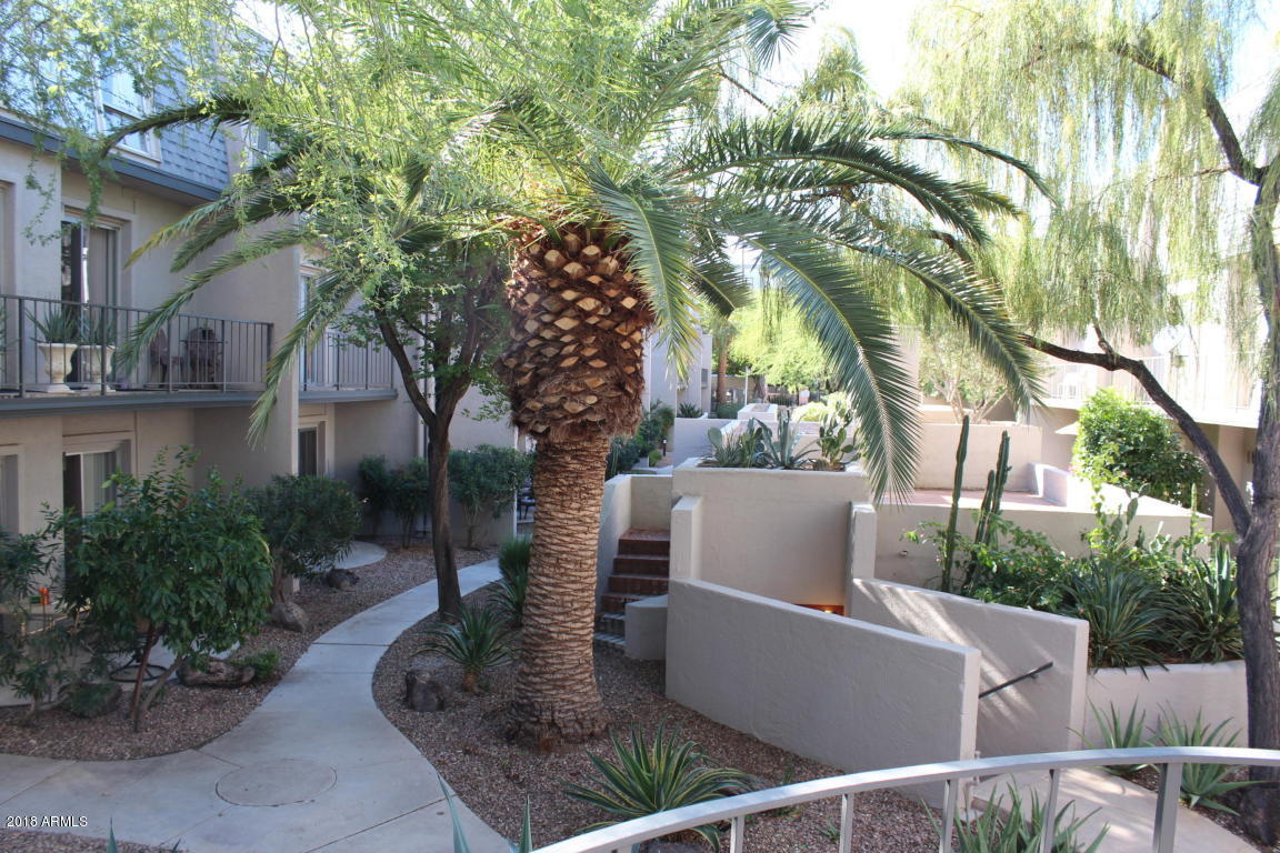 1010 East Osborn Road, Unit B Phoenix, AZ 85014 - Photo 8 of 10 COMMUNITY