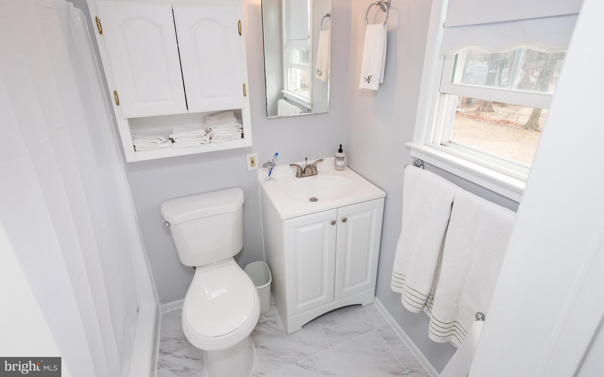 5227 Milland Street Springfield, VA 22151 - Photo 16 of 28 a bathroom with a toilet sink and mirror