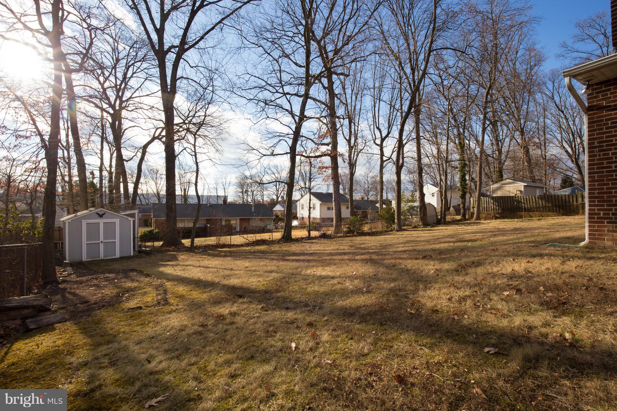 5227 Milland Street Springfield, VA 22151 - Photo 25 of 28 a view of road with trees